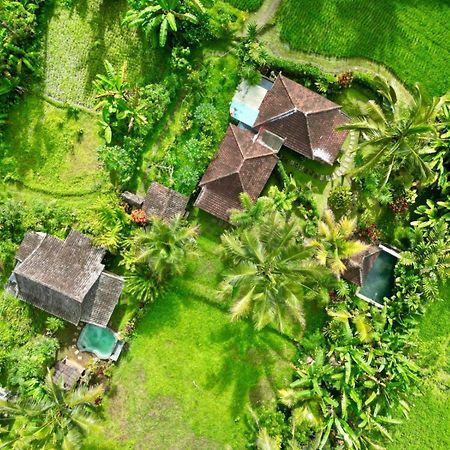 Dewa Jati Cottages Payangan Exterior foto