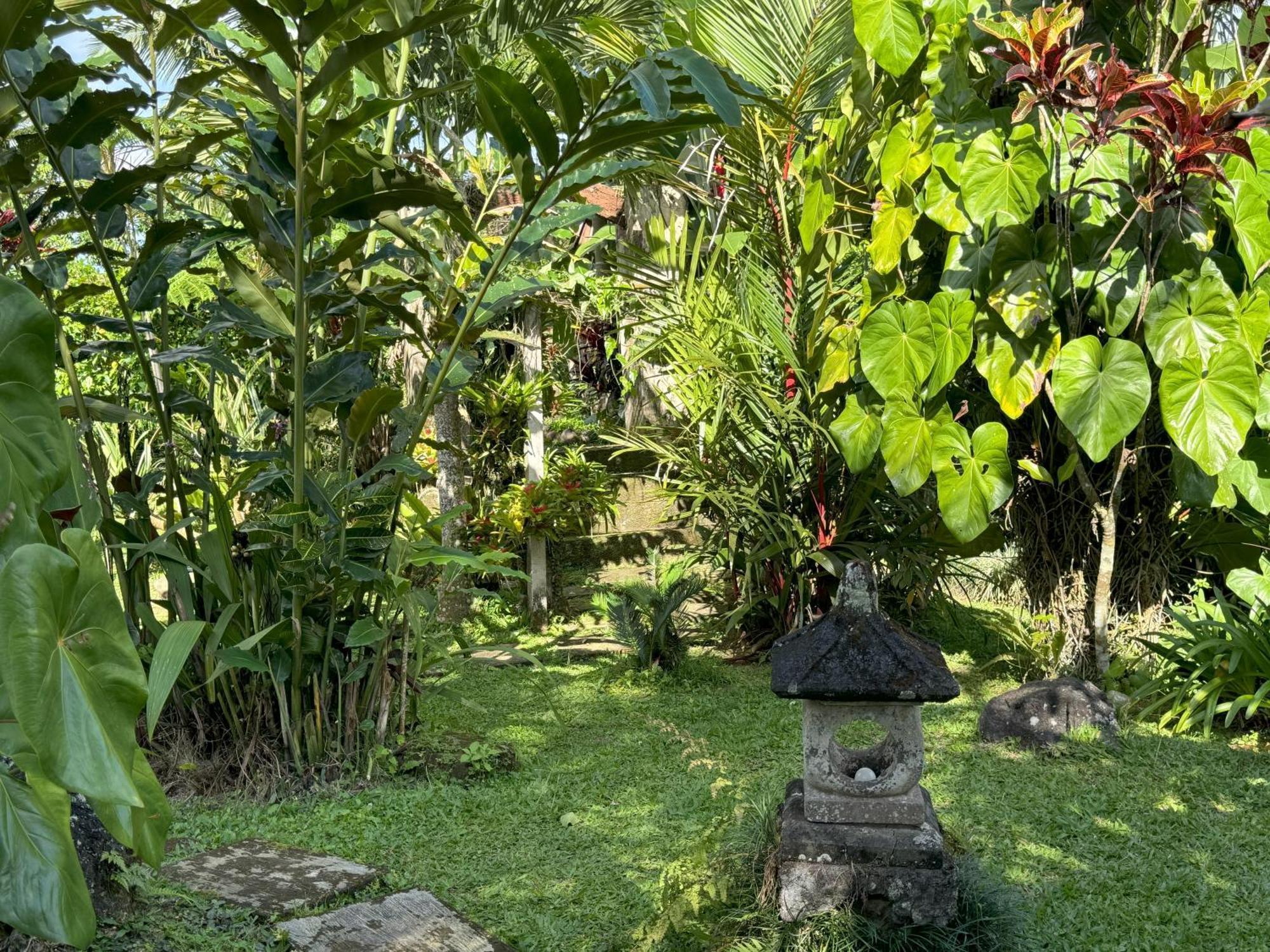 Dewa Jati Cottages Payangan Exterior foto